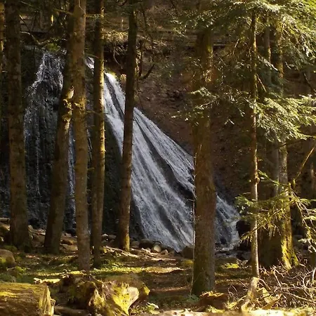 Chalet Las Abelhas Le Mont-Dore Esterno foto